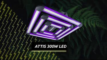Lampe Attis 300W LED Lumatek